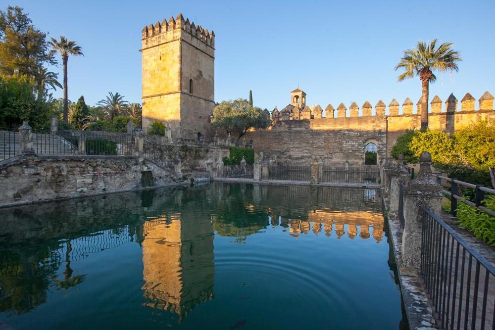 Villa Aljaral, Espectacular,Piscina,Chimenea, Climatizacion, Wifi Cordoba Exterior photo